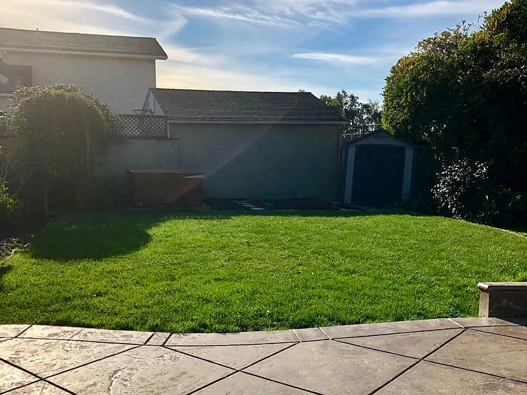 View of backyard from detached home office
