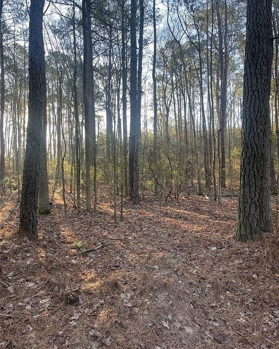 244AC Buzzard Point Rd, Diggs, VA 23045 Zillow