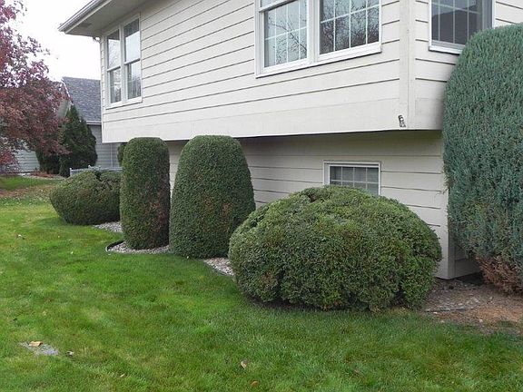 5th image of 256 Dairy Dr