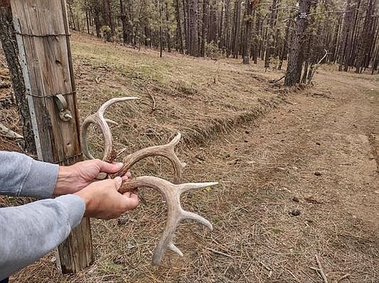 5th image of Xx Chamokane Falls Rd