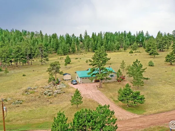 3580 Green Mountain Dr, Livermore, CO 80536