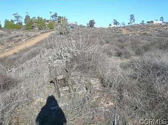 4th image of 42455 Alexander Dr