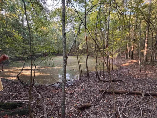 County Road 1310, Rusk, TX 75785