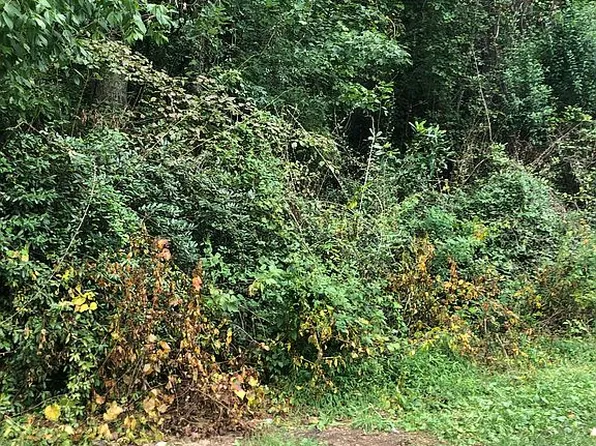 Skyline Dr, Rex, GA 30273
