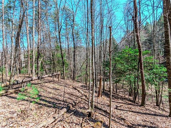 4th image of LOT 694 Satsuma Ct S