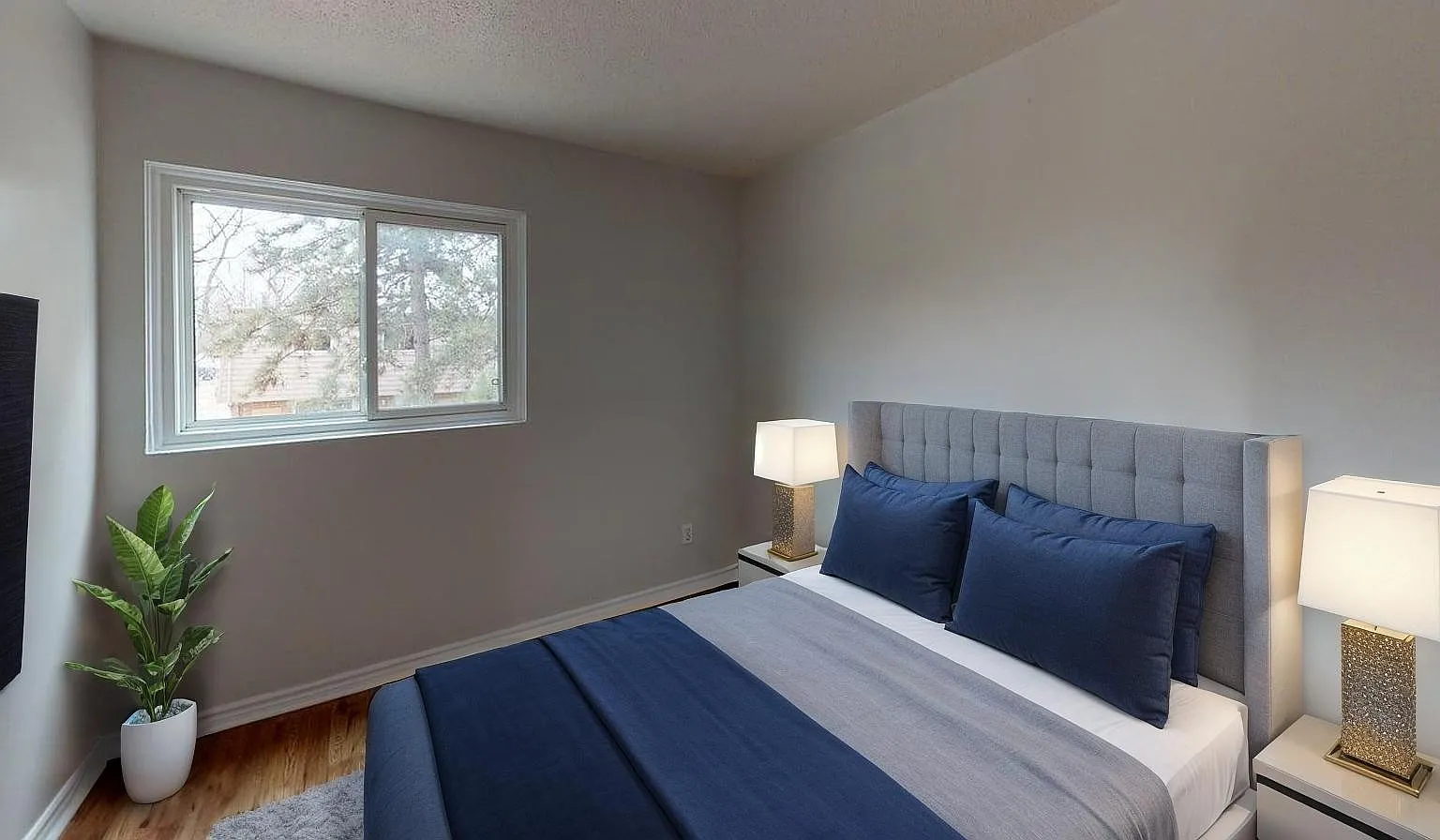 3 bed, $1,895 — Photo 4