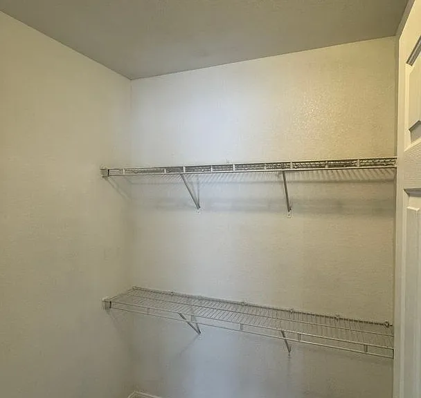 917 Blushing Rose Pl — Photo 12