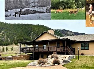 281 Tongue Canyon Rd, Dayton, WY 82836