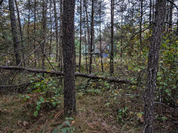 LOT 162 Pine Ln, New Lisbon, WI 53950