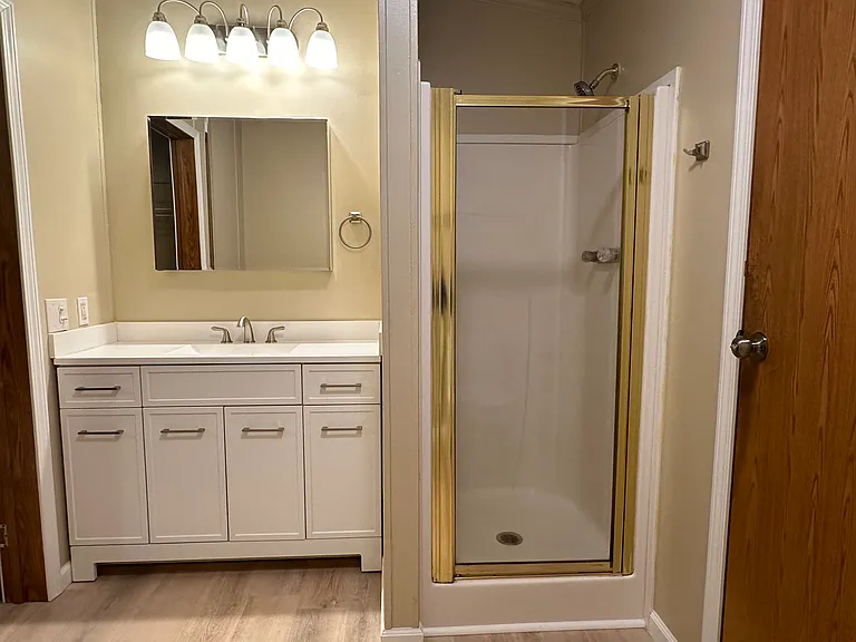 Primary bathroom with shower and new vanity, mirrored medicine cabinet and lights.