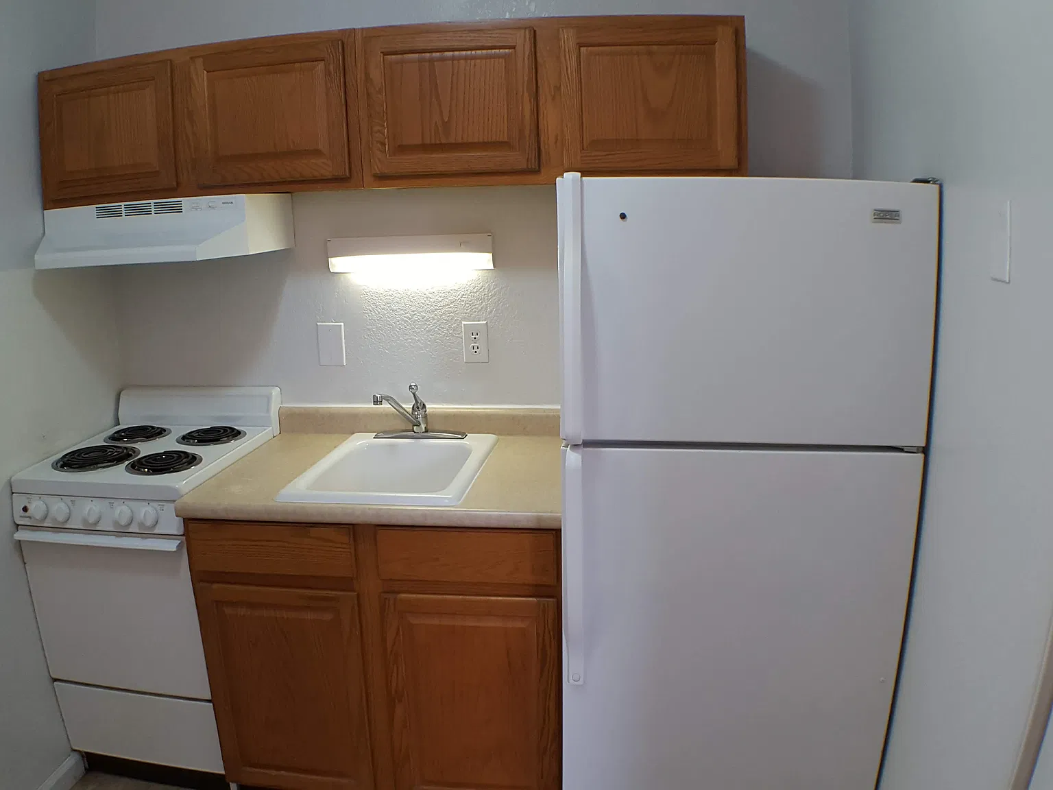 1 bed, $635 — Photo 3