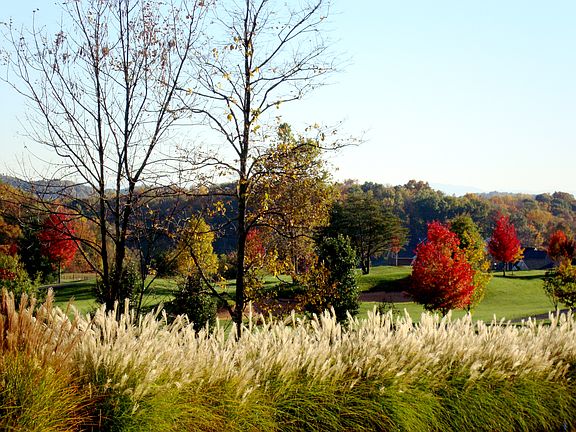 2nd image of 216 Old Island Trl