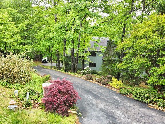 3rd image of 5390 Black Bear Ln