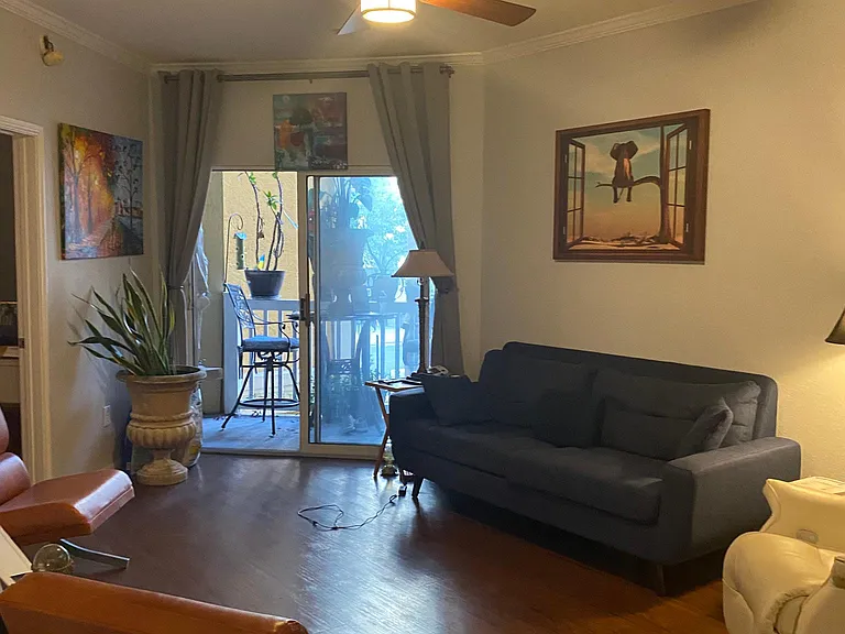 Living Room, facing N. Orange Ave. Step outside the sliding glass doors, and enjoy a glass of wine in the evenings.