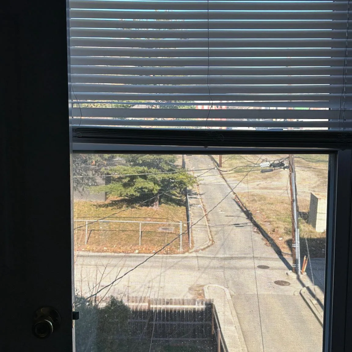 3 bed, $1,600 — Photo 3