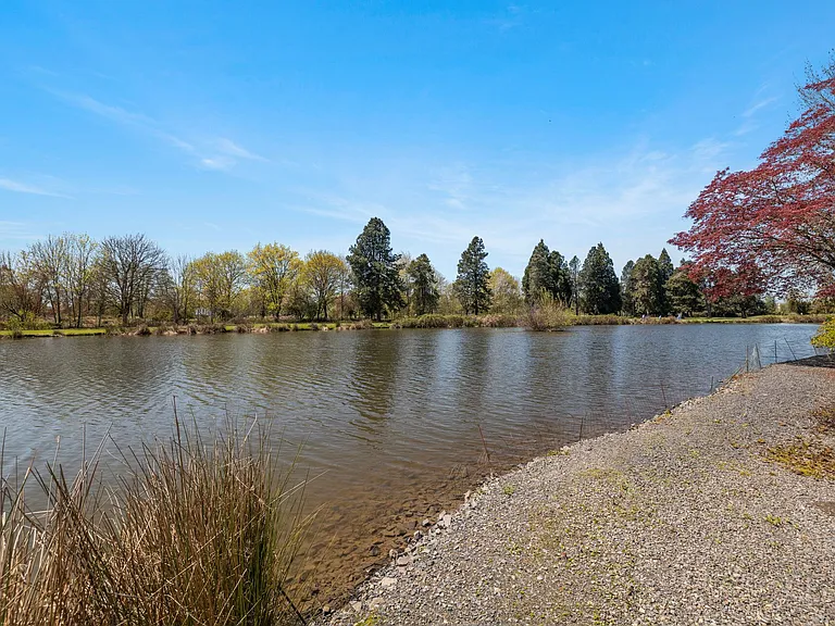 Meadowlawn Apartments - 55+ Community — Photo 30
