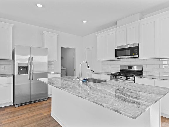 4th image of 1418 Angelfish