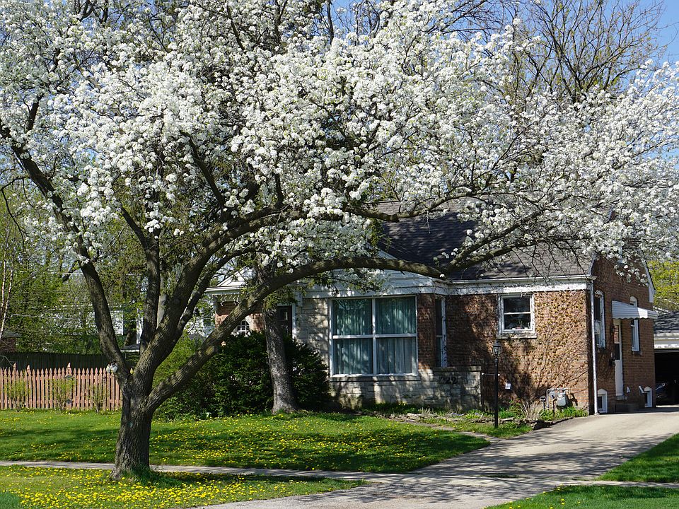1st image of 222 Harlem Ave