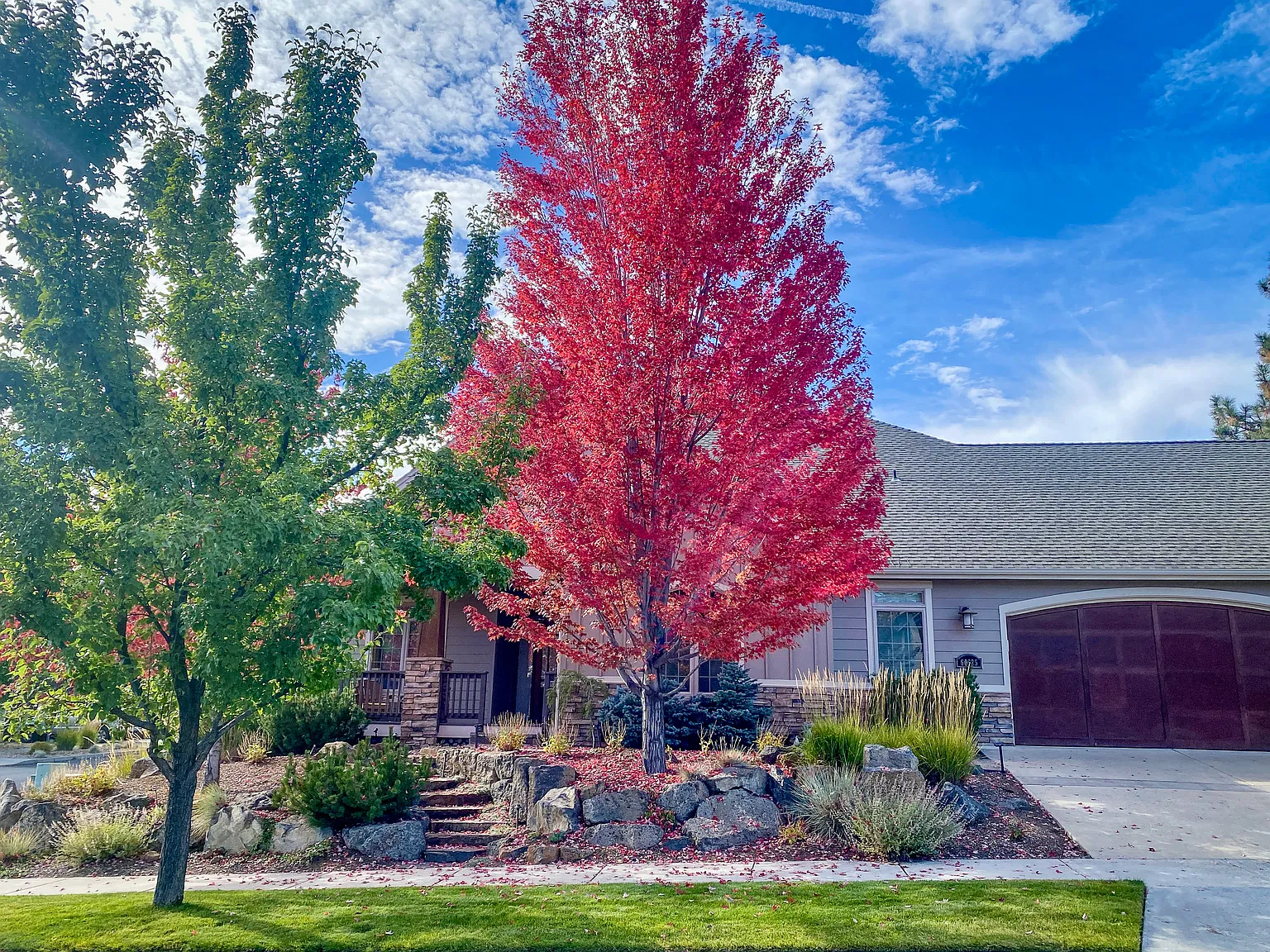 3 bed, 2005 sqft, $3,500 — Photo 1