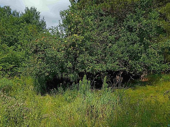 5th image of 3619 Hwy 33