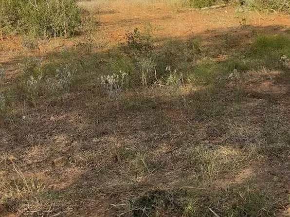 0 Carter Rd, Dale, TX 78616