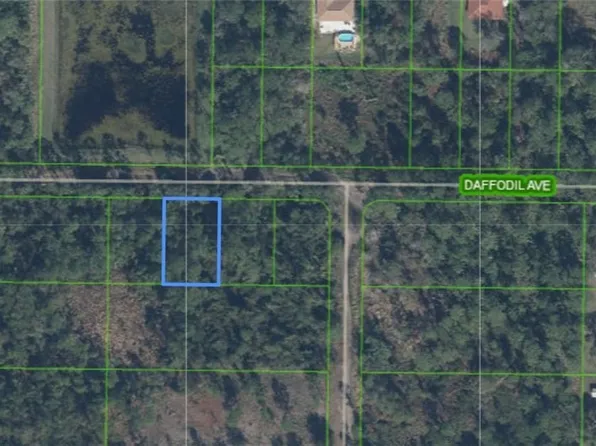1811 Daffodil Ave, Sebring, FL 33875