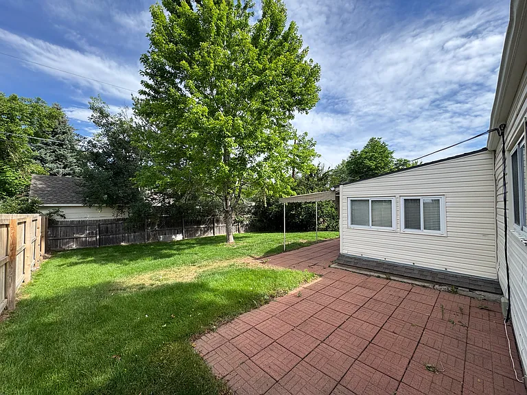Backyard in Spring