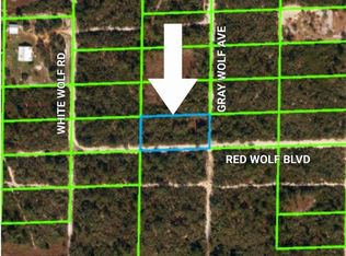 1301 Gray Wolf Ave, Sebring, FL 33870