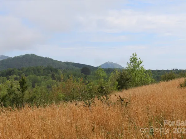 332 Parris Rd, Rutherfordton, NC 28139