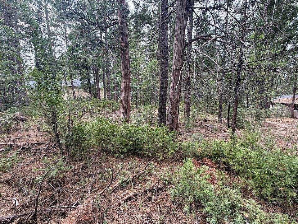 1st image of Timber Hill Dr