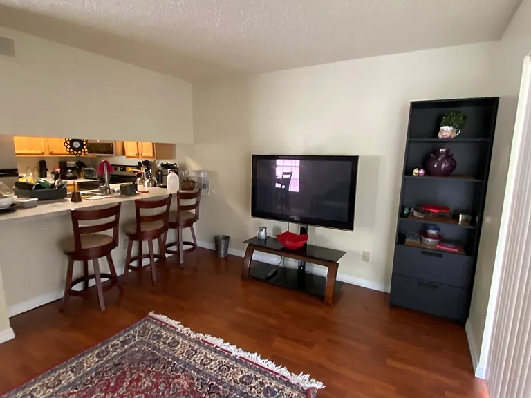 5166 Sunridge Palms Dr — Photo 6