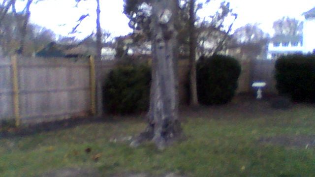 1st image of 107 Arpage Dr E