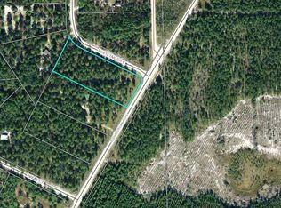 0 Jody Morgan Rd E #0, Perry, FL 32348