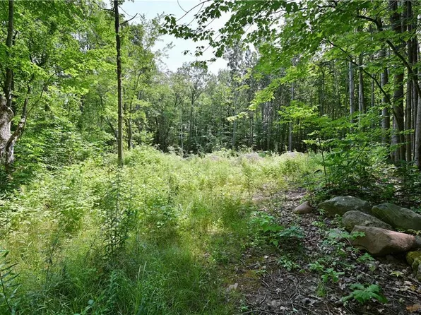 5856N Ranzel Road, Stone Lake, WI 54876