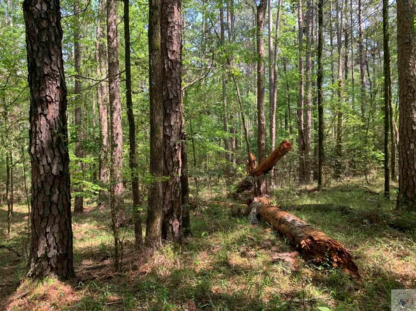 Tbd 2 Cres #3562, Queen City, TX 75572