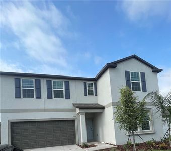 5185 Fiddle Fig Ave, Wimauma, FL, 33598