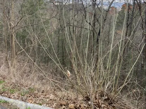 LOT 66 Smoky Ridge Way, Sevierville, TN 37862