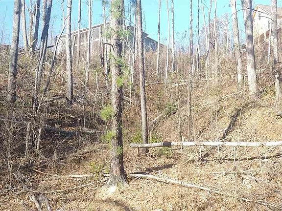 5th image of 2 Deer Path Ln Lot 2
