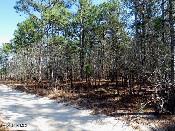Tbd Boondocks Road, Laurel Hill, NC 28351