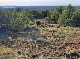 County Road 892, Concho, AZ 85924