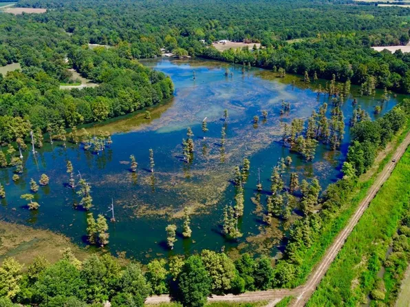 74 County Road 235, Knobel, AR 72435