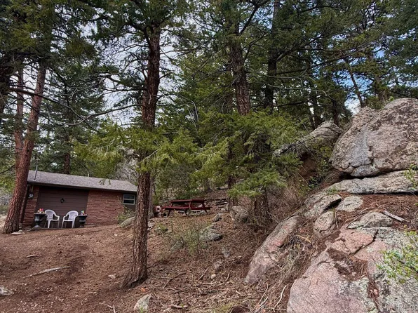25845 Wilkerson Road, Conifer, CO 80433