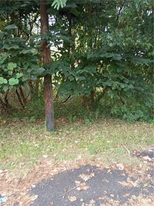 1 S Wall St, Elkin, NC, 28621