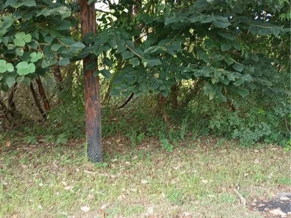 1 S Wall St, Elkin, NC 28621