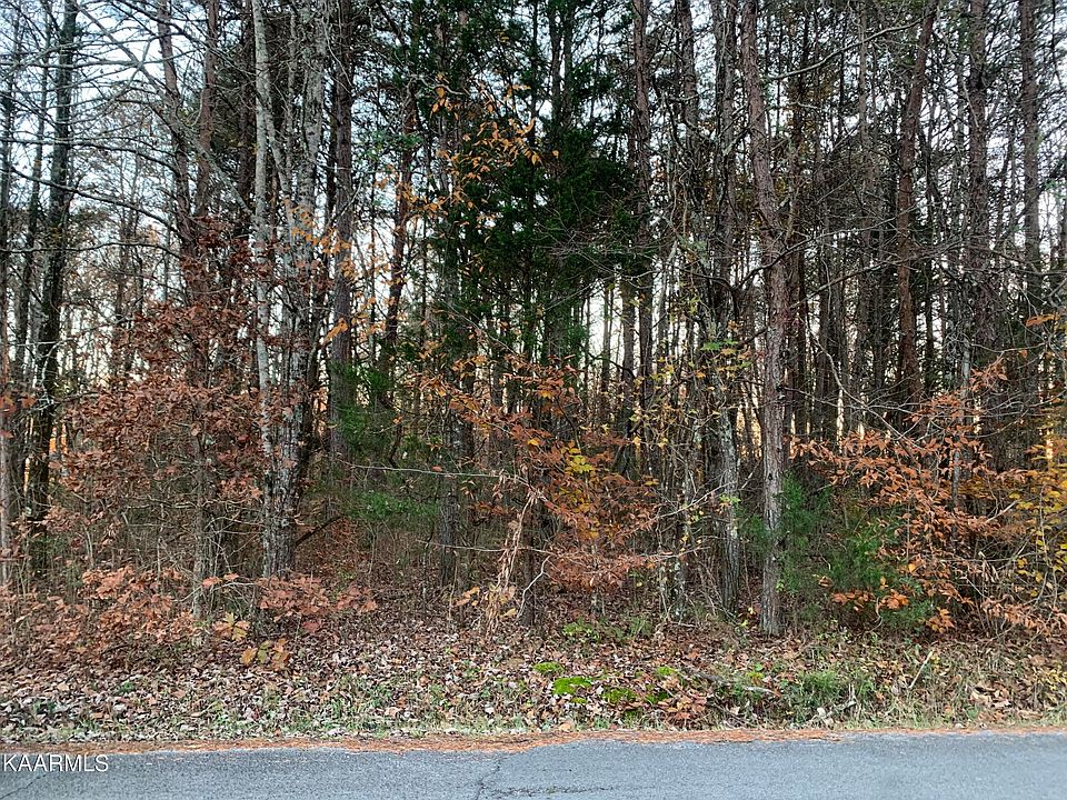2nd image of S Lake Dr