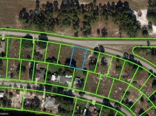 704 Concert Dr, Lake Placid, FL 33852