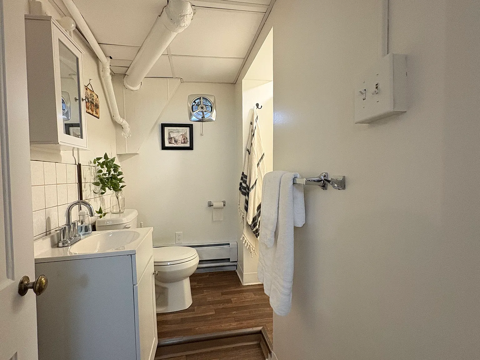 1 bed, $900 — Photo 4