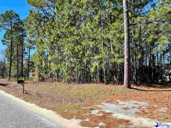 Smutherman Dr, Dillon, SC 29536