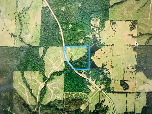 (undisclosed Address), Carthage, AR 71725