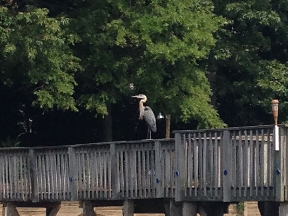 View from Lake House